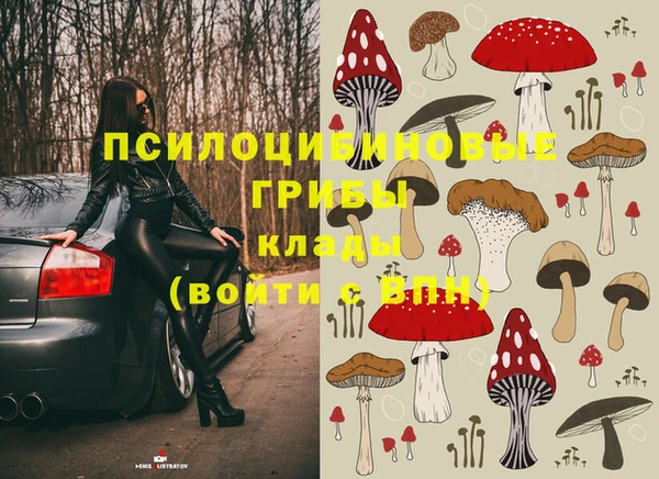 амф Зеленокумск