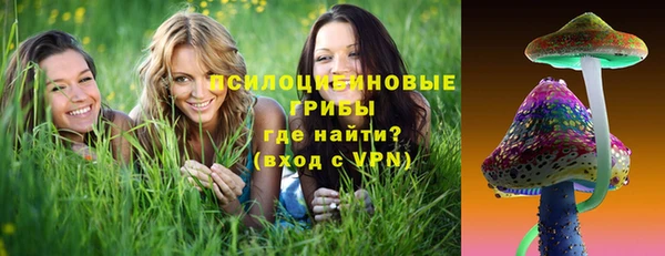 амф Зеленокумск