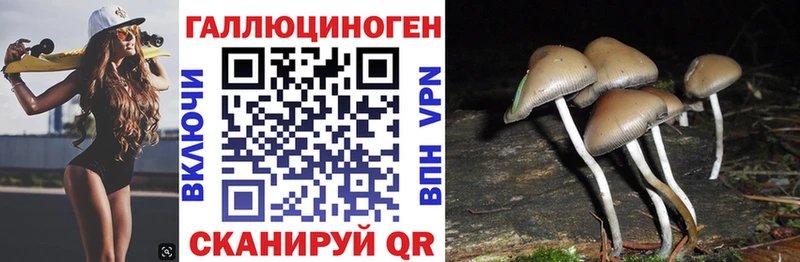 kraken зеркало хочу Куртамыш Галлюциногенные грибы мухоморы